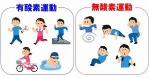 有酸素運動と無酸素運動